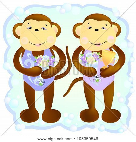 Monkey Duet Synchronous Swimmers