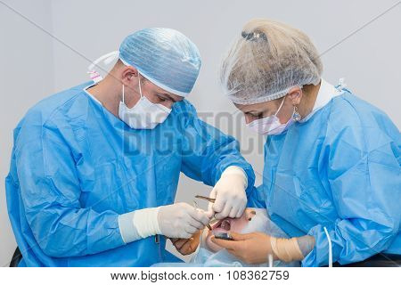 Dentists during surgery for implant placement