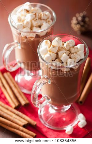 hot chocolate with mini marshmallows cinnamon winter drink