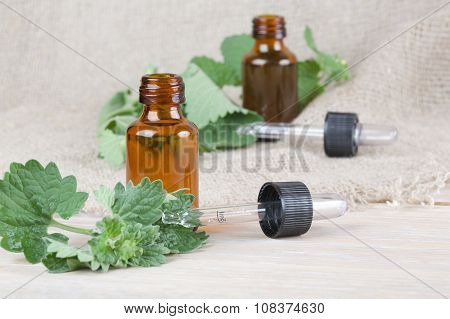Melissa Essential Oil