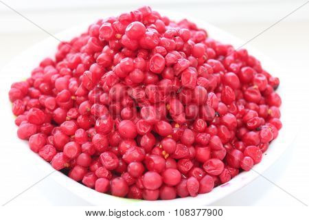 Red Schizandra Isolated