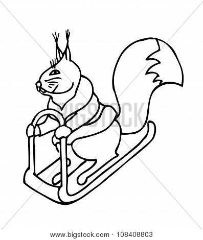 Squirrel on a sled