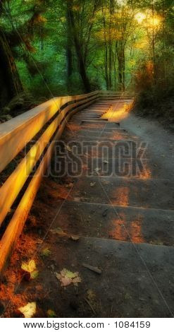 Andando verso il basso