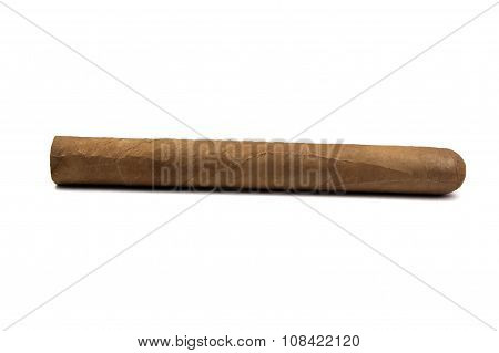 Cigar on white background