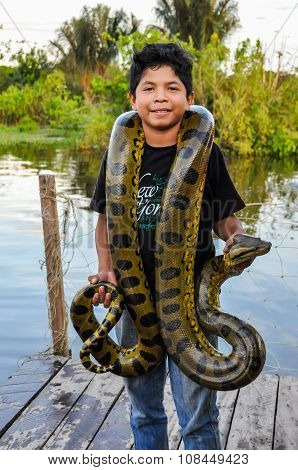 Local Boy With An Anaconda In The Amazon Rainforest, Manaos, Brazil