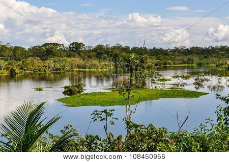 View Of The Lake In The Amazon Rainforest, Manaos, Brazil
