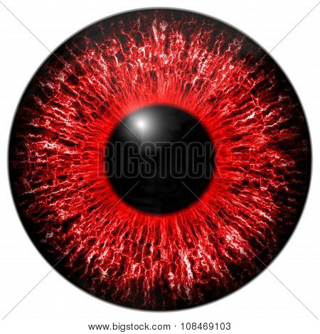 Red Eye Iris