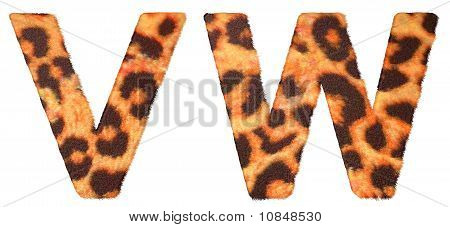 Piel de leopardo V y W letras aisladas