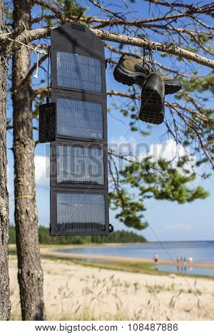 Portable Solar Panel Hanging On A Pine Tree, And Charges The Mobile Phone In The Field Conditions