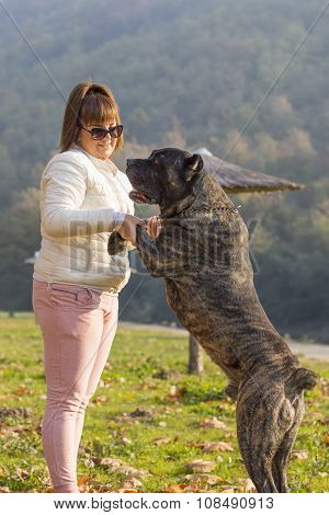 Girl Playing With Her Cane Corso Dog In The Park