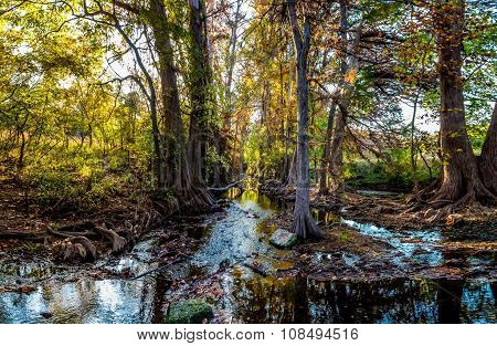 High Resolution Panoramic Shot of Fall Foliage on Cibolo Creek, Texas.