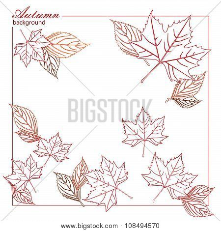 Pure autumn background