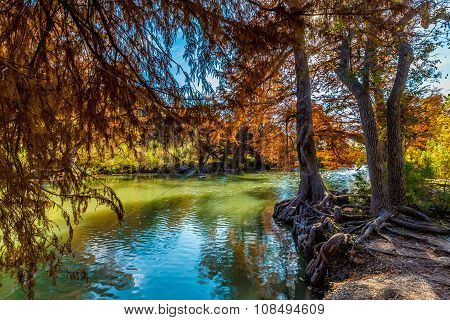 Fall Foliage At Guadalupe State Park, Texas