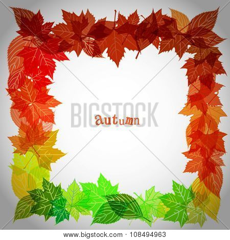Autumn leaves background