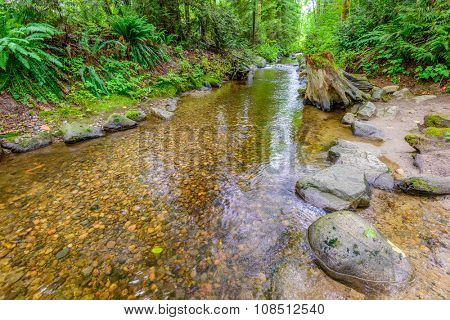 Majestic mountain river in Canada. Traboulay Port Coquitlam Park. Vancouver.