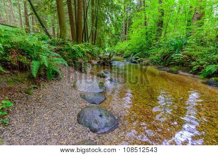 Majestic mountain river in Canada. Traboulay Port Coquitlam Park. Vancouver.
