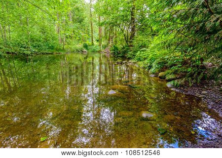 Majestic mountain river in Canada. Traboulay Port Coquitlam Park. Vancouver.