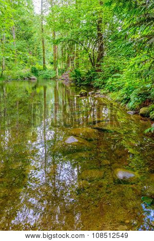 Majestic mountain river in Canada. Traboulay Port Coquitlam Park. Vancouver.