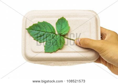 green leaves on paper food box - a campaign to encourage people to use environmentally friendly food box instead of foam food box