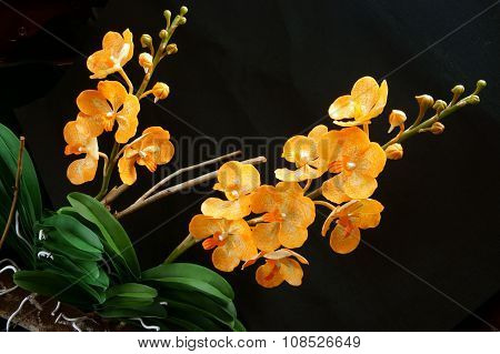 Handmade Product, Clay Flower, Artificial Flowers
