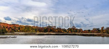 Autumn Lake Panorama Landscape