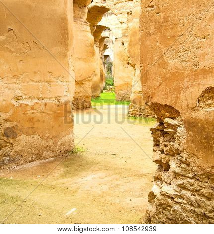 Old Moroccan Granary In The Green Grass And Archway  Wall