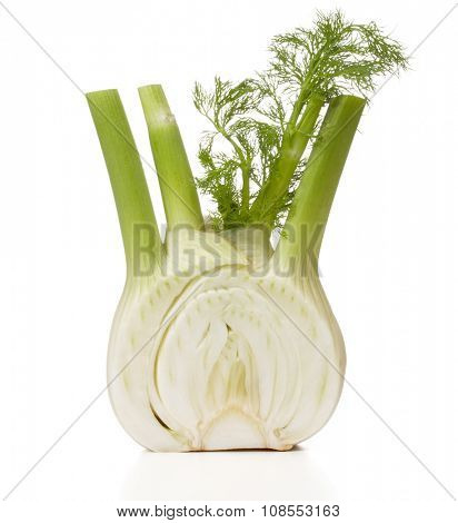 Fresh fennel bulb isolated on white background close up