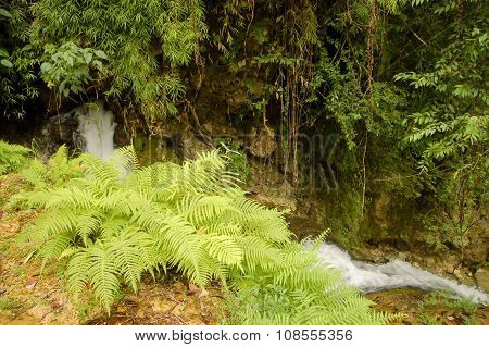Semuc Champey Guatemala