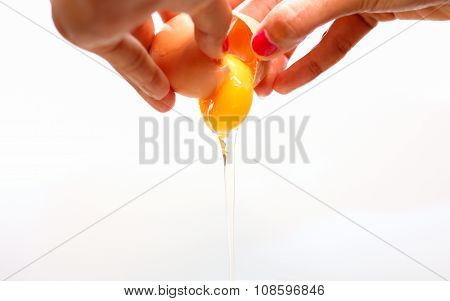 The Droping Egg