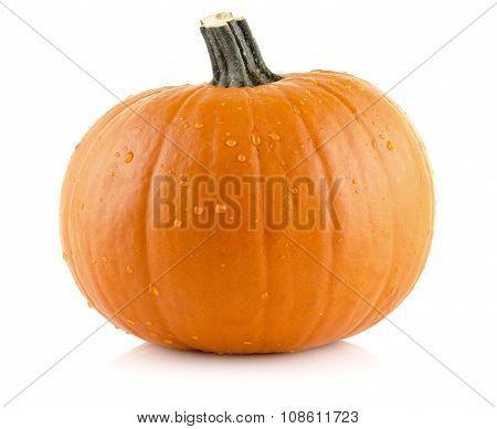 Closeup Shot Of Beaded Pumpkin Isolated On White