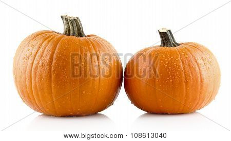 Closeup Shot Of Beaded Pumpkins Isolated On White