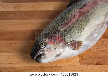 Fresh salmon of Mediterranean cooking