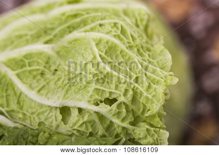 Closeup Of Fresh Chinese Leaf