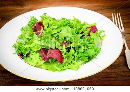 Salad Mix Batavian, Frise, Radicchio, Chicory