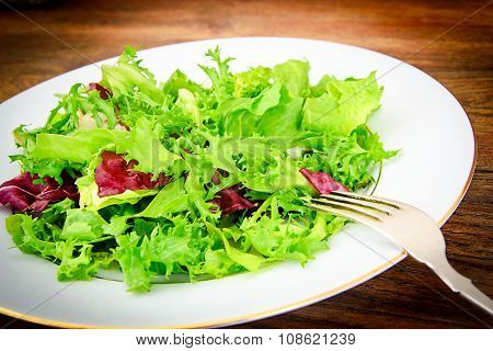 Salad Mix Batavian, Frise, Radicchio, Chicory