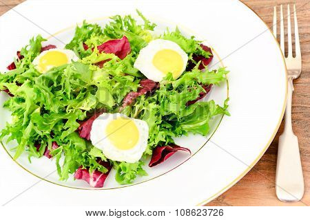 Salad Mix Batavian, Frise, Radicchio, Chicory, Dietary Mel