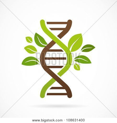 DNA, genetic icon - tree with green leaves