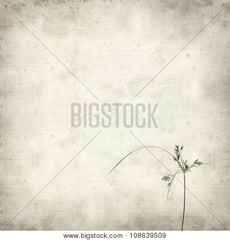 Textured Old Paper Background