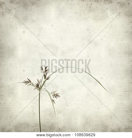Textured Old Paper Background