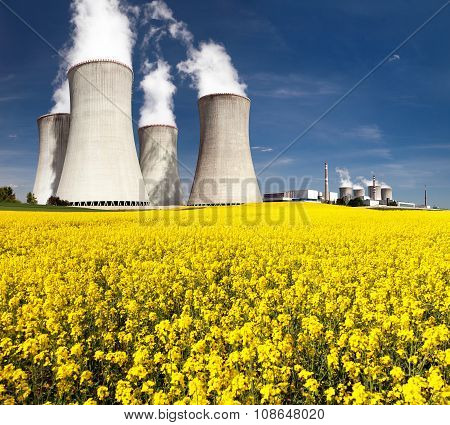 Cooling Tower And Rapeseed Field