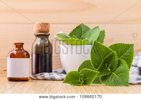 Country Borage,indian Borage,coleus Amboinicus Lour With White Mortar And Essential Extract Oil On W