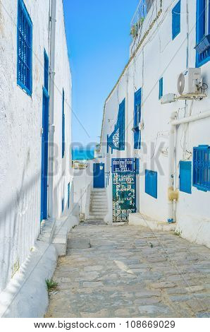 The White Houses
