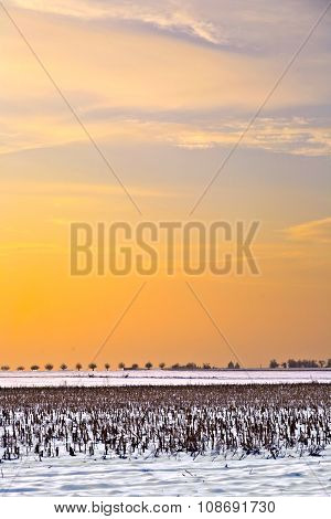 Landscape With Snow Covered Fields In Wintertime