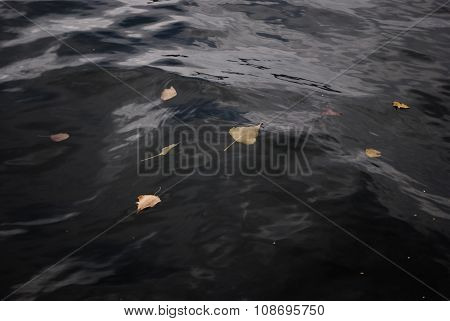 Dark waters of the Internet