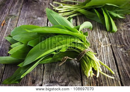 Ramson (bear Garlic) Bunch