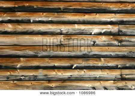 Cedr paneli Siding - tło