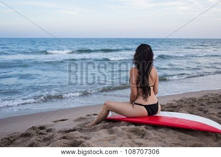 Back view of a girl with slender figure in a bikini sex which emphasizes her beautiful body