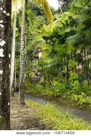 Picturesque Habitation Anse Latouche Garden In Martinique