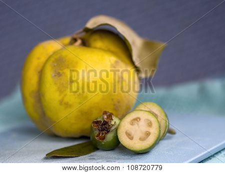 feijoa and quince