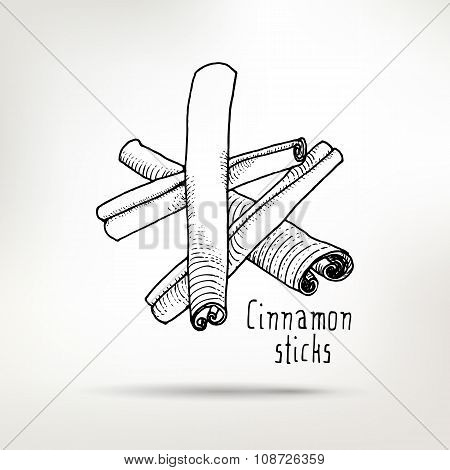 Cinnamon Sticks Ink Illustration